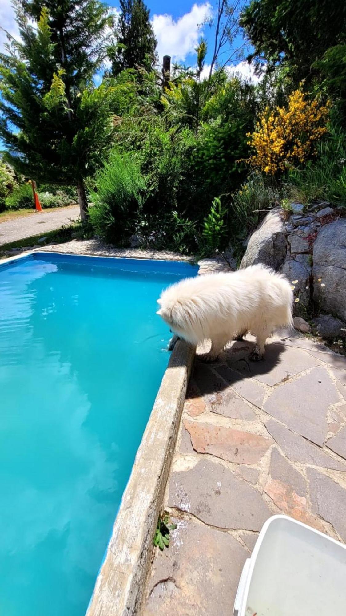 El Mirador Casa Arroyo Villa San Carlos de Bariloche Ngoại thất bức ảnh